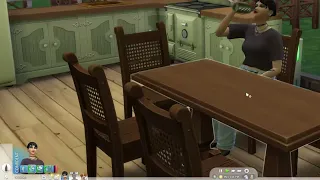 TS4 Eco Lifestyle Juice Fizzing Skill