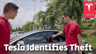 Tesla Cameras Identify Theft in Malaysia