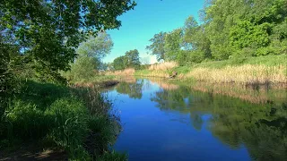 Relaxing Spring Morning Sound - Study, Chill, Sleep - River Ambience - Natural Background