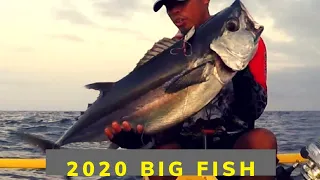 2020 BIG FISH DOGTOOTH TUNA CAUGHT in Jigging