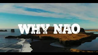 Dj Alexiis Reggae Remix | Why Nao