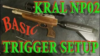 KRAL np02 trigger setup