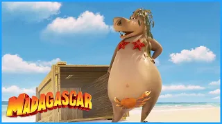 DreamWorks Madagascar | Alrighty Boys, Fun's Over | Madagascar Movie Clip