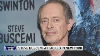 Actor Steve Buscemi punched in the face in random New York City attack: publicist