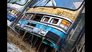 Bus Graveyard - Abandoned Dumped Buses - Urban Explore Wales - Patina School Bus