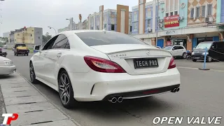 Mercedes-Benz CLS400 With TECHPRO Valvetronic Exhaust