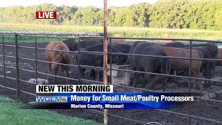 New Missouri grant to help small meat processing plants