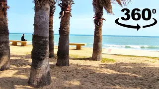 A relaxing day at the beach - 8K 3D 360 VR - Immersive nature video