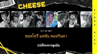 [THAISUB/ซับไทย] Stray Kids - CHEESE #นกน้อยซับ **เปิดคำบรรยายเพื่อดูแก้ไขคำผิด**