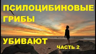 ПСИЛОЦИБИНОВЫЕ ГРИБЫ УБИВАЮТ! ЖУТКИЙ БЕД ТРИП. СМЕРТЬ ДРУГА! 2 ЧАСТЬ