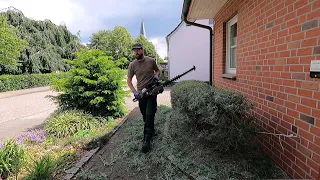 Satisfying Transformation of the front yard!