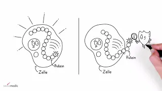 So funktioniert ein mRNA Impfstoff