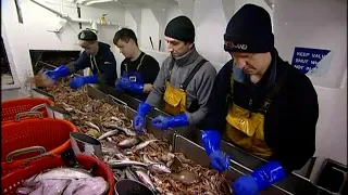 Trawlermen: The Great Prawn Hunt