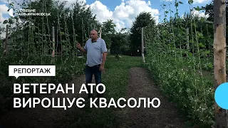 Частину врожаю хоче віддати для ЗСУ. Як ветеран АТО на Івано-Франківщині вирощує квасолю