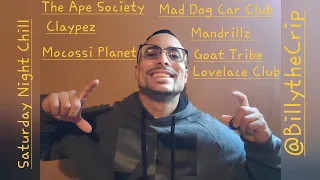 Ape Society, Goat Tribe, Claypez, Mandrillz, Mad Dog Car Club,  Mocossi Planet, Lovelace Club Cnft