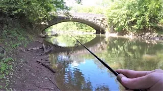 Multi Species CREEK FISHING with Artificial Lures