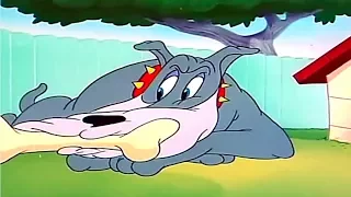 Tom And Jerry English Episodes - The Framed Cat  - Cartoons For Kids Tv