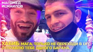 Хабиб Нурмагомедов: Мага,только не переходи в UFC. Отправлю тебе одного барана) Магомед Исмаилов👌🏽