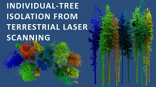 Treeiso: Accurate Individual-Tree Isolation from Terrestrial Laser Scanning (3D Lidar)