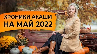 Предсказания Акаши на май 2022