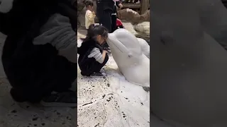 Who was kissed by a beluga？