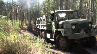 Military Vehicle Offroad Trail Ride