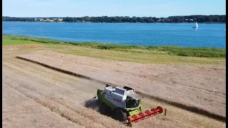 Traumhafte Landschaft + Claas Lexion 550 bei der Rapsernte an der Ostsee 2020 DJI Maviv Mini Drohne