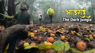 चमत्कारी झाडांनी वेढलेला महाराष्ट्रातील  Famous जंगल ट्रेक | Adrai Jungle Trek | Malshej Ghat |