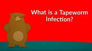 What is a Tapeworm Infection? (Symptoms, Causes, Treatment, Prevention)