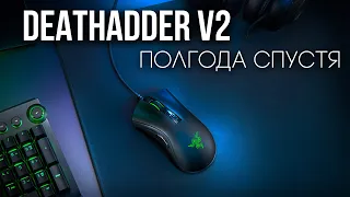 Обзор на Razer Deathadder V2 полгода спустя