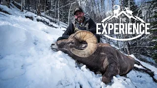 COLORADO BIGHORN EXPERIENCE - with Aaron Derose of Dillinger River Outfitters