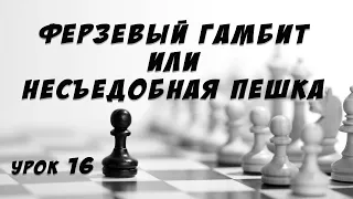 Урок 16 Ферзевый гамбит, или Несъедобная пешка Шахматные уроки Обучение для детей шахматам Шахматная