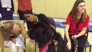 The Benefits of Animal Assisted Therapy for Psychiatric Patients