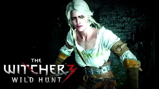 The Witcher 3: Wild Hunt Tribute 'Heroes Down' [HD]