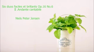 Six duos faciles et brillants Op.16 No.6-2 Andante cantabile Niels Peter Jensen