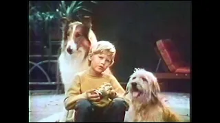 Recipe Dog Food Commercial (Lassie, Early 1970s)