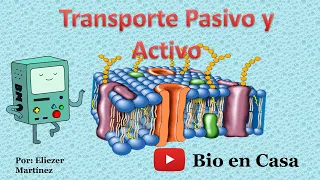 TRASPORTE PASIVO Y ACTIVO a través de la membrana plasmática