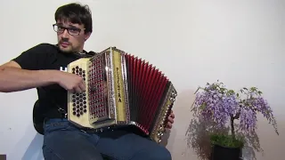 Tiroler Buam Polka mit Steirischen Harmonika