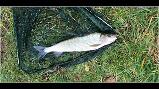 Coarse fishing on the river Test, Hampshire.