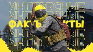 Интересные факты и Пасхалки DayZ