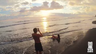 Surfing Playa Hermosa Costa Rica Sunset Hour