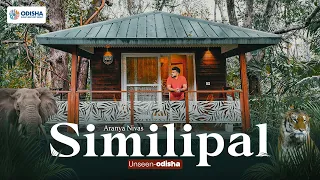 A DAY IN SIMIILIPAL, ODISHA'S DEEP JUNGLE | Best Travel Destination in odisha - Aranya Nivas lulung|
