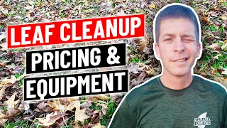 Leaf Clean Up Pricing, Equipment Setup, Pros and Cons (what you need to know)