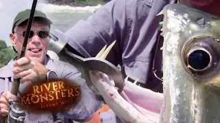 Forgotten Catches Of Season 1! | COMPILATION | River Monsters