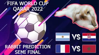 FIFA Semi Final World Cup Qatar 2022 | Rabbit prediction | Argentina vs Croatia | Morocco vs France