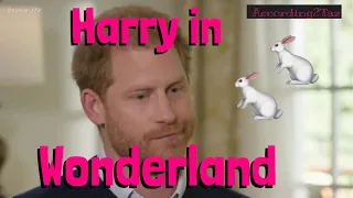 HARRY in Wonderland 🐇🐇🐇