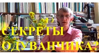 Чудо-Паразит Убивает Жука - Долгоносика: Секреты Одуванчика?