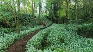 WILD GARLIC WALK