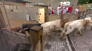 #NoComment Първото състезание с бикове на фестивалa Сан Фермин завърши без сериозни инциденти.