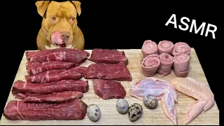 ASMR MUKBANG PITBULL EATING RAW BEEF QUAIL EGGS CHICKEN WINGS BEEF TONGUE